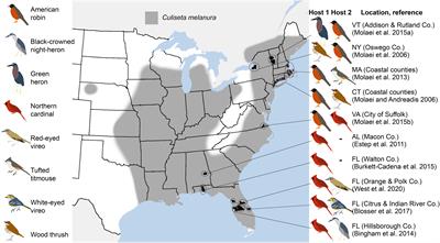 Vectorial Capacity of Culiseta melanura (Diptera: Culicidae) Changes Seasonally and Is Related to Epizootic Transmission of Eastern Equine Encephalitis Virus in Central Florida